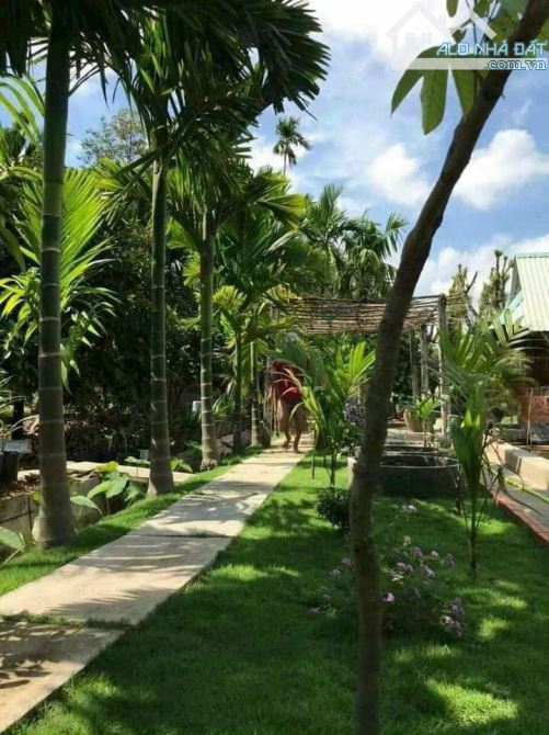 BÁN KHU NGHỈ DƯỠNG, P.TÂN AN, TP.TDM, DT:25x40, TC92M2, SHR, GIÁ 6,6 TỶ - 1