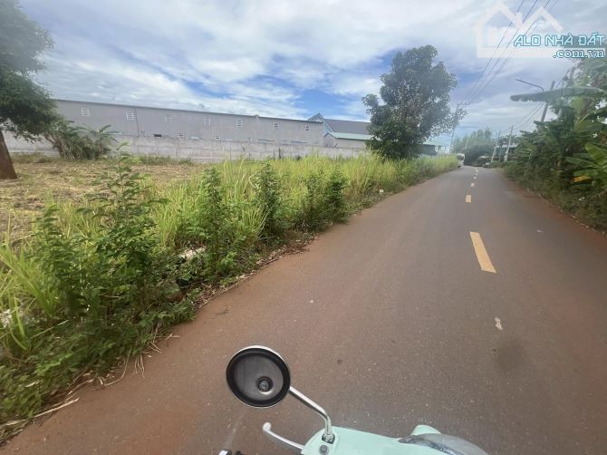 Đất Thổ Cư 210m Ngang 5 dài 42 Có 4 Lô Đường Nhựa Huyện Long Đất, Bà Rịa Vũng Tàu - 1