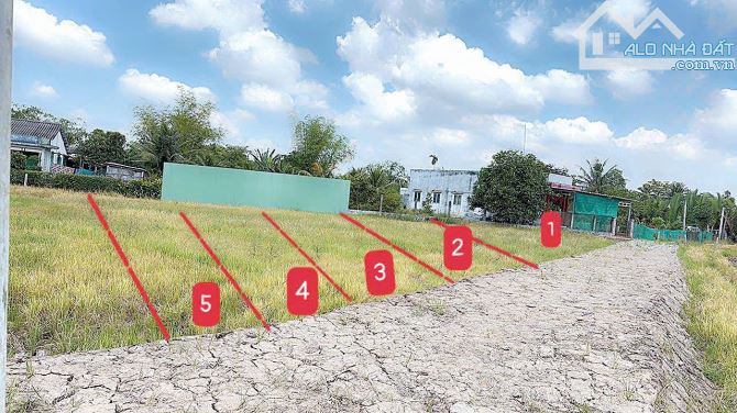 5×24 thổ xác chợ _Tân trụ_Long An 395 triệu Đường ôtô rẻ ngộp - 1