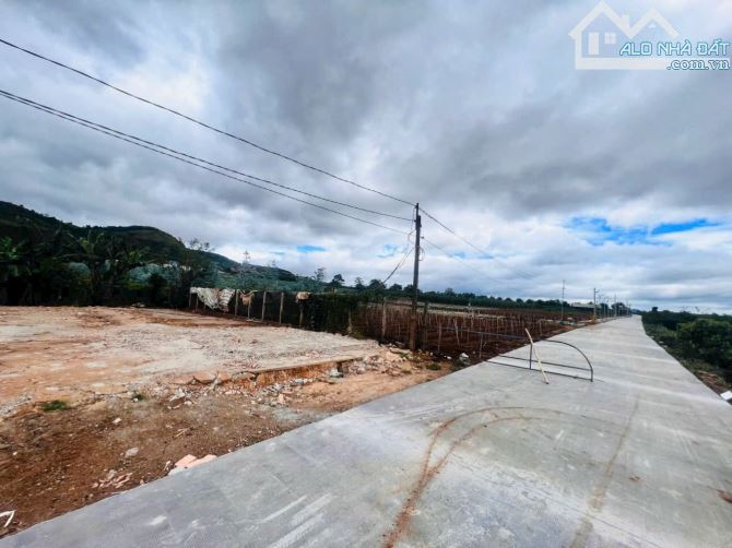 Cần bán lô đất sào Liên Hiệp huyện Đức Trọng giá rẻ - 5