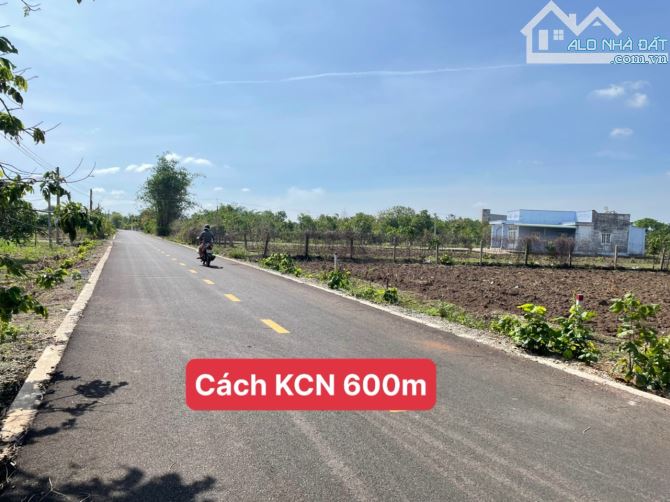 Chỉ 1,8 tỷ sở hữu ngay lô đất 948m2 Thị Trấn Đất Đỏ , ngang 11m mặt tiền nhựa - 2