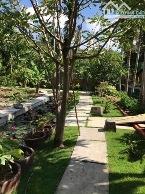 BÁN KHU NGHỈ DƯỠNG, P.TÂN AN, TP.TDM, DT:25x40, TC92M2, SHR, GIÁ 6,6 TỶ - 2
