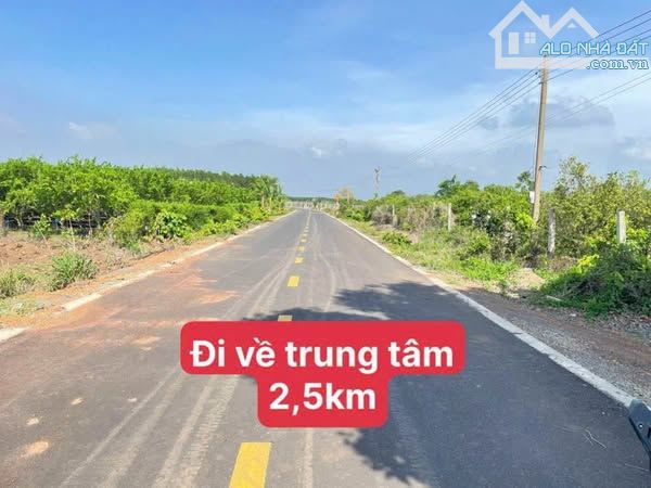 Đất Thổ Cư 210m Ngang 5 dài 42 Có 4 Lô Đường Nhựa Huyện Long Đất, Bà Rịa Vũng Tàu - 2