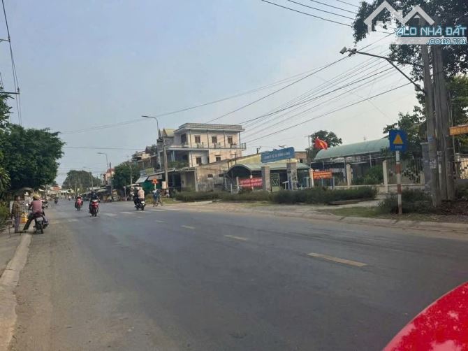 1300m2 có 147m2 thổ đường Nguyễn Thị niệm Tân trụ_Long An 1ty 240 triệu rẻ - 2
