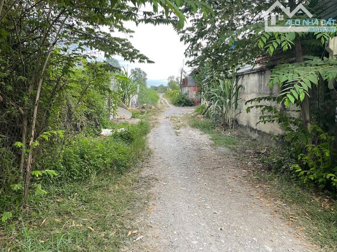Bán lô đất vườn 1 sẹc ngắn kênh cây xanh xã Bình Mỹ, Củ Chi 503m2 đất trồng cây. - 2