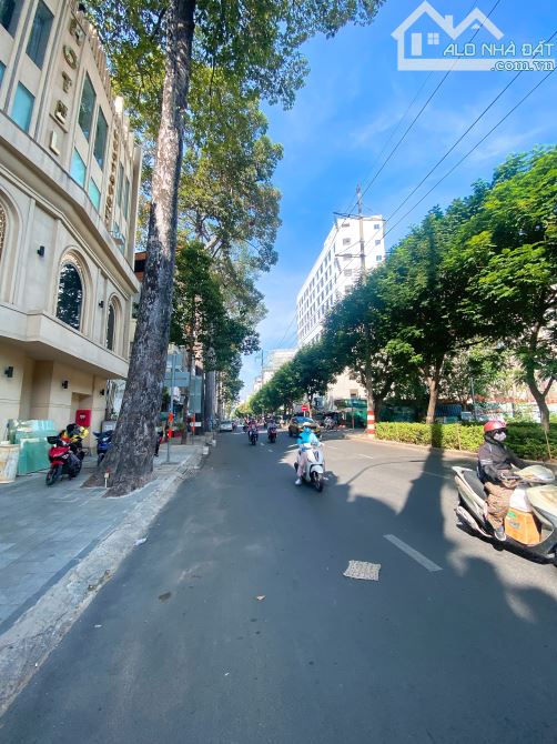 Mặt tiền Đường Hùng Vương nhà 4 lầu ngang 8 mét dài 8 mét Nhỉnh 28 tỷ - 3