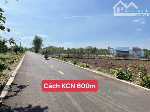 Đất Thổ Cư 210m Ngang 5 dài 42 Có 4 Lô Đường Nhựa Huyện Long Đất, Bà Rịa Vũng Tàu - 3