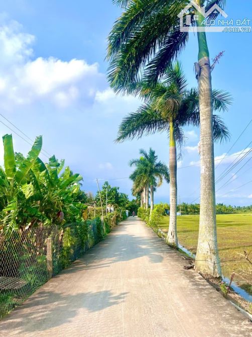 1300m2 có 147m2 thổ đường Nguyễn Thị niệm Tân trụ_Long An 1ty 240 triệu rẻ - 4