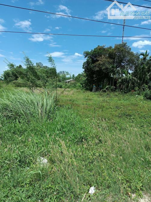 📌📌📌Làm việc trực tiếp!!!Bán lô đất mặt tiền DT609B xã Đại Hiệp, Đại Lộc, Quảng Nam 🌺 - 4