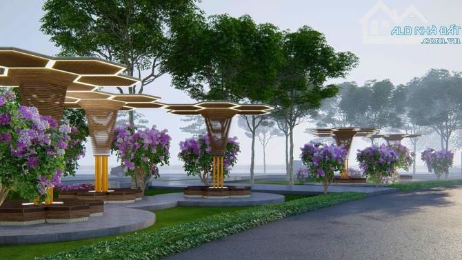 Lô đất 247m2 đẹp hàng đầu khu 31ha Trâu Quỳ, dùng xây nhà vườn hoặc biệt thự siêu đẳng cấp - 5
