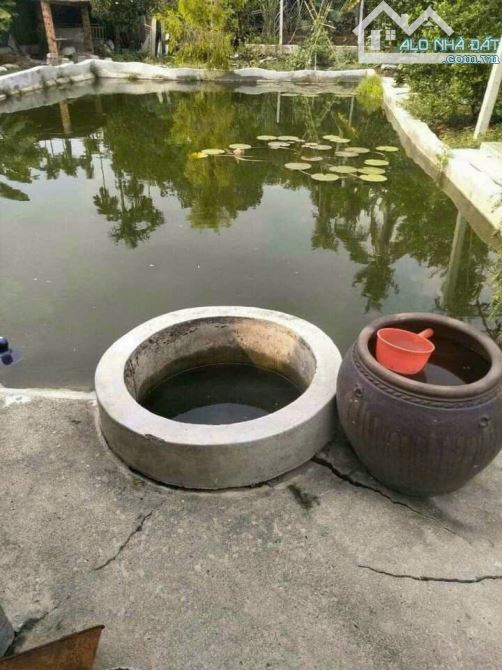 BÁN KHU NGHỈ DƯỠNG, P.TÂN AN, TP.TDM, DT:25x40, TC92M2, SHR, GIÁ 6,6 TỶ - 7