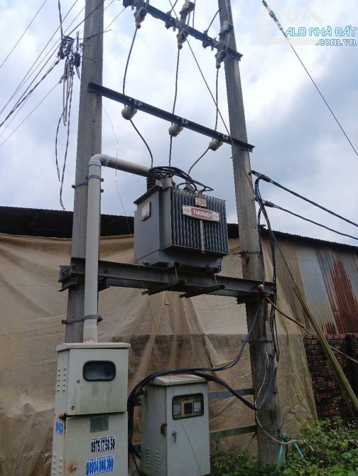 XT238 Cho Thuê Xưởng khuôn viên rộng 1Ha An Viễn Trảng Bom Đồng Nai - Giá chỉ 70tr / Tháng