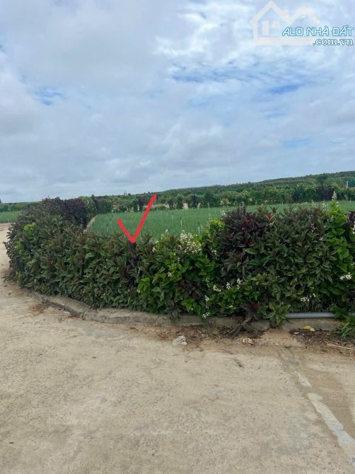 Lý Sơn Bán lô đất 124m2 mặt tiền 5m đường bê tông giá đầu tư
