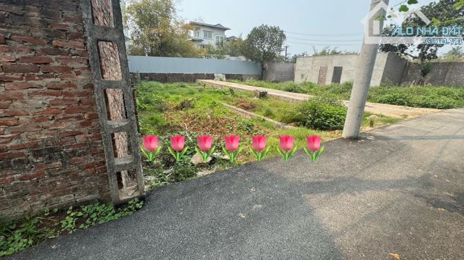 Nhỏ tiền ô tô vào đất dễ bán 45m.mt4m thôn Nhì Vân Trì Vân Nội Đông Anh
