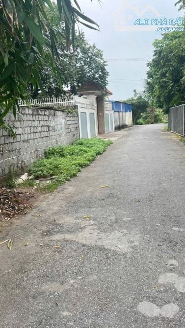 Bán đất Thọ Linh - Minh Tân - Kiến Thụy - Hải Phòng - 1