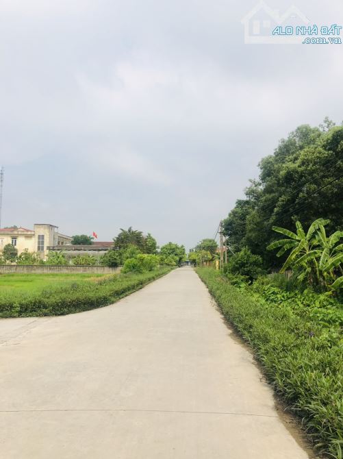 BÁN ĐẤT KIM LIÊN ,KIM THÀNH ,HẢI DƯƠNG - 1