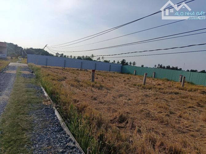 5×21 thổ đường ôtô 250 triệu ĐứcTân_ Tân trụ_Long An rẻ ngộp - 1