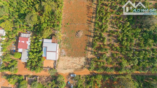 410#LÔ ĐẤT 5X35M – CÓ 60M² THỔ CƯ – GIÁ CHỈ 465 TRIỆU – CƯ KUIN, ĐẮK LẮK]  sẵn sổ 4 lo - 1