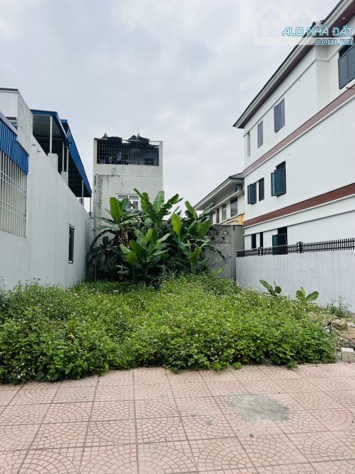 Bán lô 150m2 tại phân lô Lương Quán, Nam Sơn cho khách có nhu cầu xâu biệt thự - 1