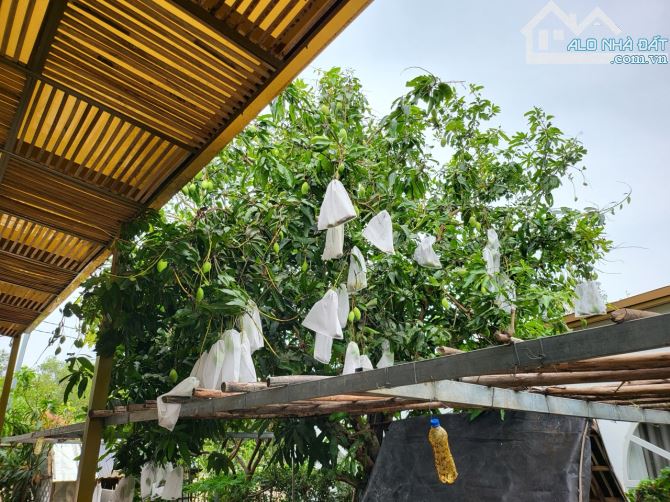 Bán biệt thự đẹp 500m2 tại Láng Dài, Long Đất, Bà Rịa Vũng Tàu giá 3,8 tỷ - 18