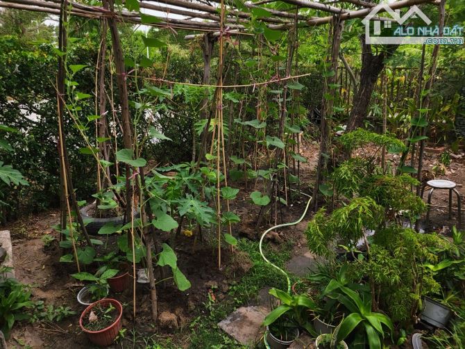 Bán biệt thự đẹp 500m2 tại Láng Dài, Long Đất, Bà Rịa Vũng Tàu giá 3,8 tỷ - 20