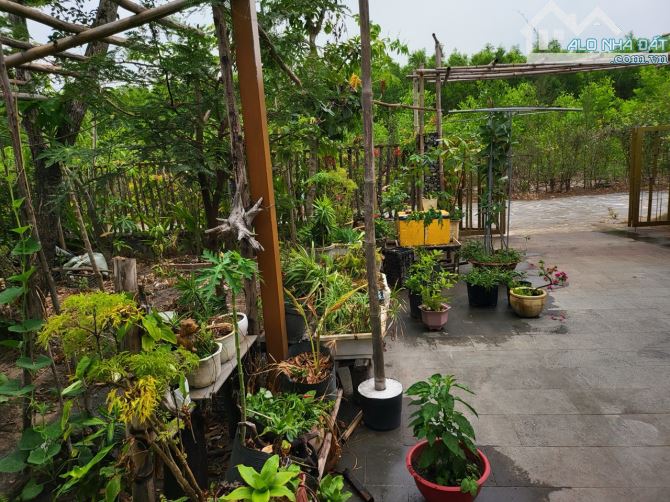 Bán biệt thự đẹp 500m2 tại Láng Dài, Long Đất, Bà Rịa Vũng Tàu giá 3,8 tỷ - 21