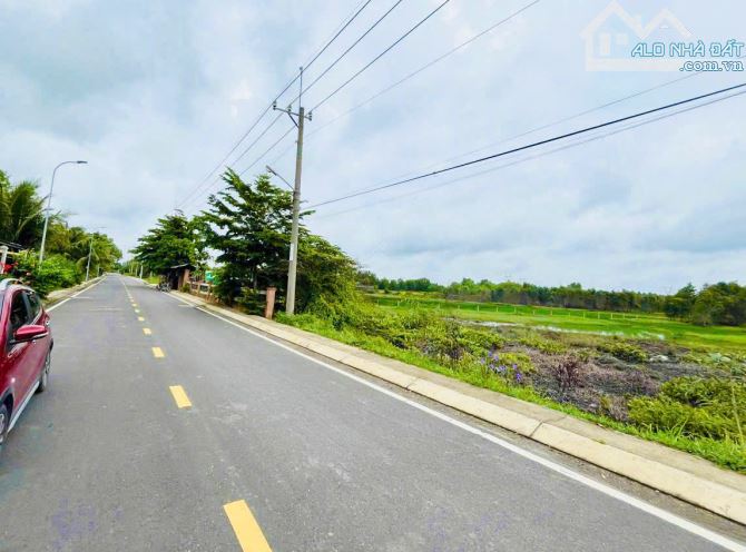 Cần bán đất 15.731m2 có thổ cư, Mặt tiền đường nhựa Đại Lộ Ven Sông SG, xã Trung An Củ Chi - 2