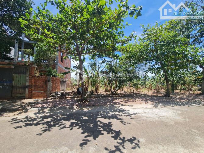 BÁN LÔ ĐẤT BIỆT THỰ VUÔNG VẮN –ĐỒI 2 BÙI THIỆN NGỘ PHƯỜNG 10 - 250M2 – CHỈ 10.1 TỶ - 2