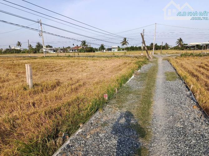 5×21 thổ đường ôtô 250 triệu ĐứcTân_ Tân trụ_Long An rẻ ngộp - 2