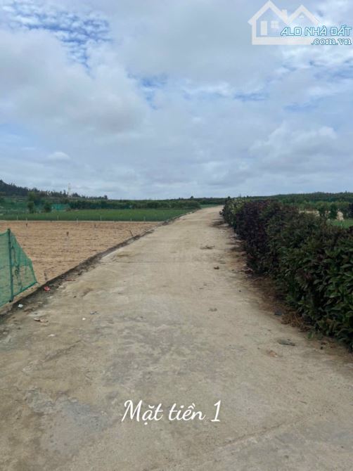 Lý Sơn Bán lô đất 124m2 mặt tiền 5m đường bê tông giá đầu tư - 2