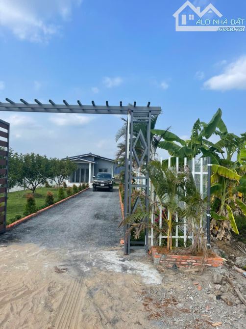 Chủ gửi bán căn nhà vườn 1000m2. Tân Thành - Thủ Thừa - long an - 2
