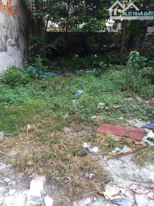 Bán nhà đất Pháo Đài Láng, Đống Đa. 112 m2 x Mt 5,5m. Ô tô lô góc xây CCMN, VP, cho thuê. - 2