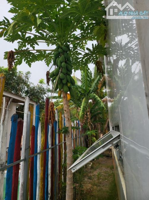 Bán biệt thự đẹp 500m2 tại Láng Dài, Long Đất, Bà Rịa Vũng Tàu giá 3,8 tỷ - 22