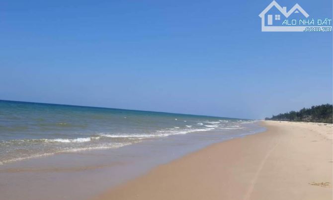 Chuyển Nhượng 6000 M2 Đất Mặt Tiền Lạc Long Quân, Đất Vuông Vức Nở Hậu, Nhiều Thổ Cư - 3