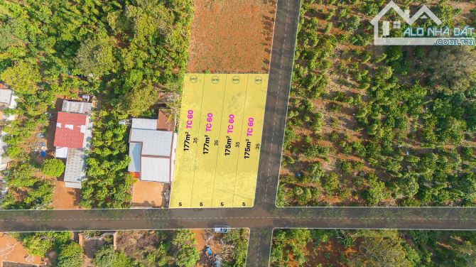 410#LÔ ĐẤT 5X35M – CÓ 60M² THỔ CƯ – GIÁ CHỈ 465 TRIỆU – CƯ KUIN, ĐẮK LẮK]  sẵn sổ 4 lo - 3