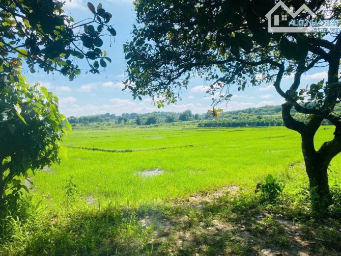 Bán 7 lô liền kề view nghĩ dưỡng gần sông Serepok - 3