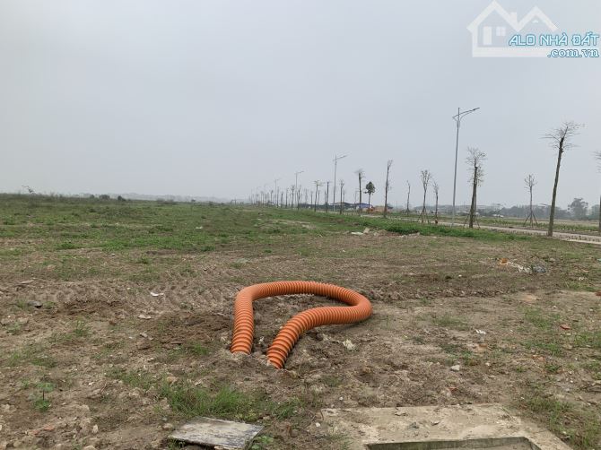 Chuyển nhượng 20.000m2 khu công nghiệp Cẩm Giàng – Hải Dương - 3