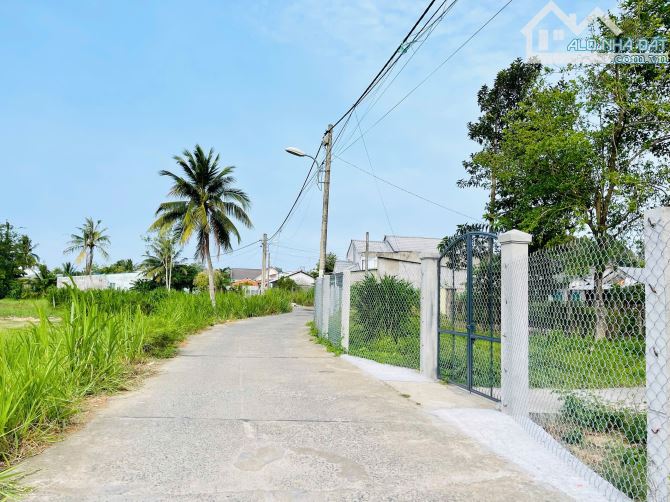 Bán Đất Hẻm Dal Ôtô Đường Lê Hồng Phong P8 - 3
