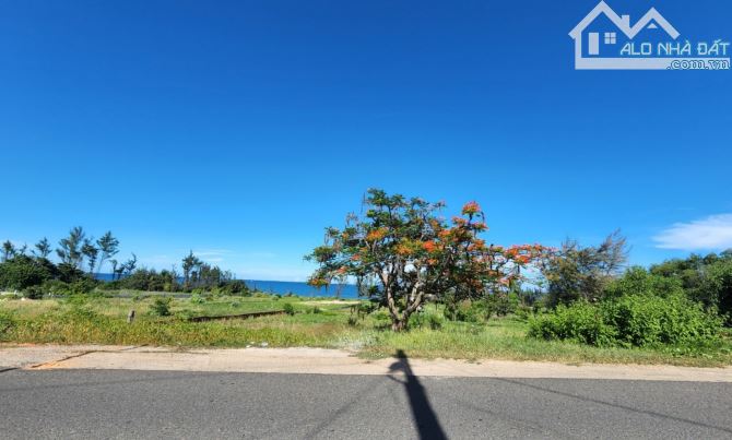 Chuyển Nhượng 6000 M2 Đất Mặt Tiền Lạc Long Quân, Đất Vuông Vức Nở Hậu, Nhiều Thổ Cư - 4