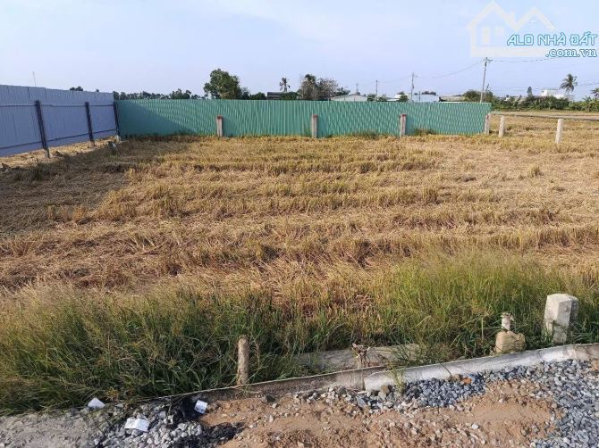 5×21 thổ đường ôtô 250 triệu ĐứcTân_ Tân trụ_Long An rẻ ngộp - 4