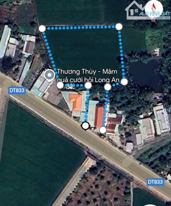 Nhà đất lớn, Mt đường tỉnh 833 xã Nhơn Thạnh Trung, TP Tân An, Long An - 4