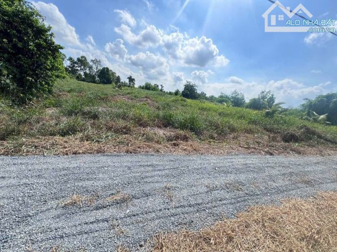 550tr/1000m2 Vườn/ MT đường oto 7c vi vu,Ấp 6 Bình Đức, Bến Lức - 4