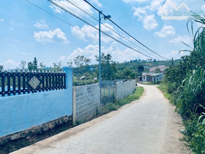 Cần bán nhà vườn ngay làng chùa xã Ninh Gia - 4