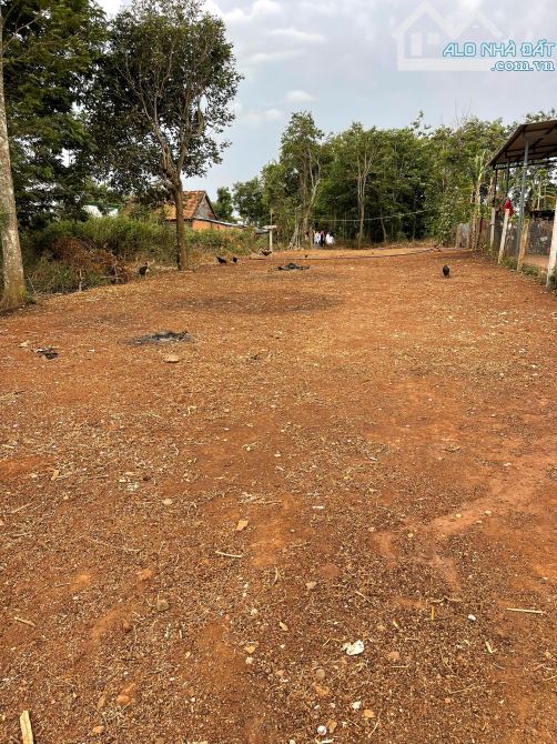 Cần Bán Lô Đất Mặt Tiền Đường 19/5 Nối Dài Xã Ea Kao BMT ——— Diện Tích 8.66m x 40m - 6