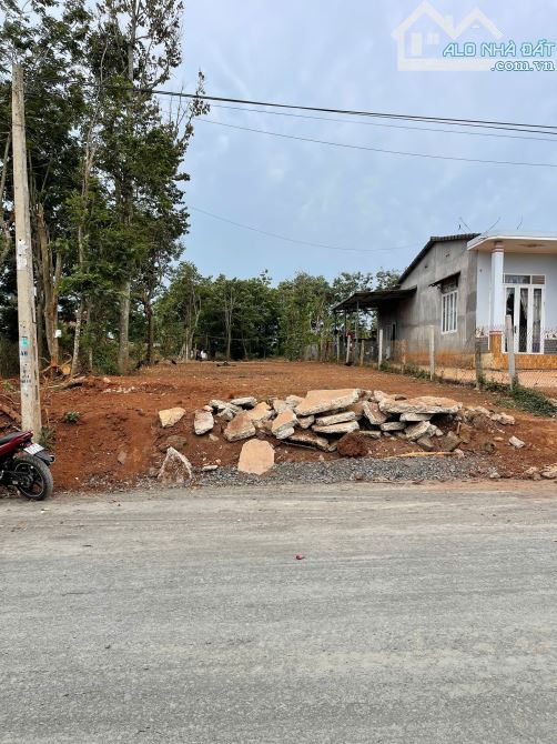 Cần Bán Lô Đất Mặt Tiền Đường 19/5 Nối Dài Xã Ea Kao BMT ——— Diện Tích 8.66m x 40m - 7