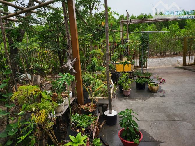 Bán nhà vườn gần biển Lộc An. Diện tích 500m2 17 X 38 giá chỉ 3,8 tỷ - 8