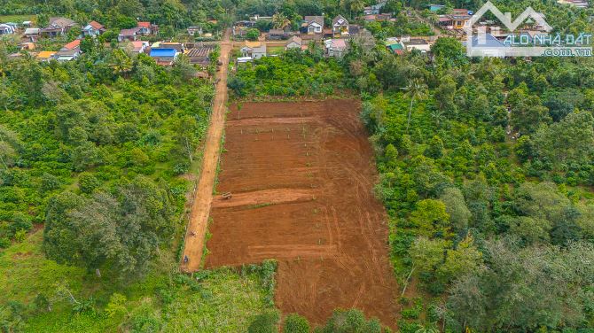 407#BÁN 7 LÔ ĐẤT THỔ CƯ GIÁ CHỈ 550 TRIỆU/LÔ – SỔ HỒNG RIÊNG – EA KTUR, CƯ KUIN] - 8