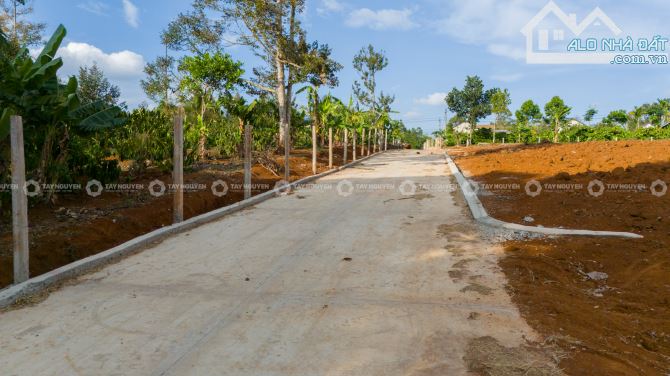 407#BÁN 7 LÔ ĐẤT THỔ CƯ GIÁ CHỈ 550 TRIỆU/LÔ – SỔ HỒNG RIÊNG – EA KTUR, CƯ KUIN] - 9