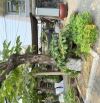 BÁN ĐẤT MT TRẦN HƯNG ĐẠO- SÁT ĐÀ NẴNG