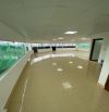 TOÀ NHÀ VĂN PHÒNG CHO THUÊ 10 TẦNG THANG MÁY_GARA OTO_DIỆN TÍCH 171M_GIÁ 55 TỶ